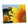 Ceramic Sublimation Tile - 6" X 8" (36/case) - OVERSTOCK 2 Ceramic Sublimation Tile - 6" X 8" (36/case) - OVERSTOCK -Home Sales Store 56800a web