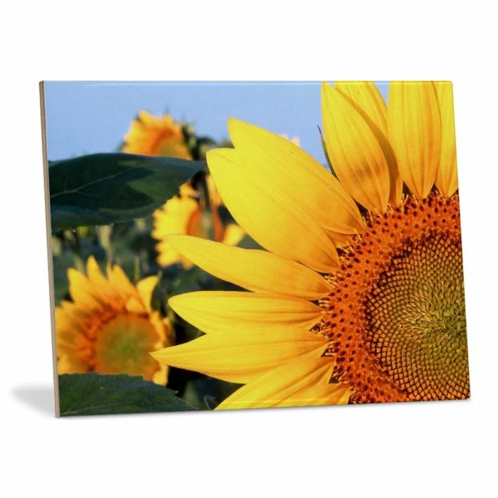 Ceramic Sublimation Tile - 6" X 8" (36/case) - OVERSTOCK 3 Ceramic Sublimation Tile - 6" X 8" (36/case) - OVERSTOCK