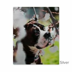 16" X 24" ChromaLuxe Sublimation Aluminum Metal Photo Print Panel 9 16" X 24" ChromaLuxe Sublimation Aluminum Metal Photo Print Panel -Home Sales Store chromaluxe panel mocked dog silver 1