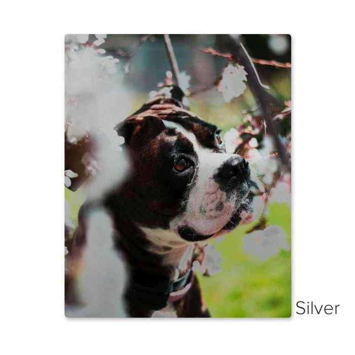 8" X 12" ChromaLuxe Sublimation Aluminum Metal Photo Print Panel 6 8" X 12" ChromaLuxe Sublimation Aluminum Metal Photo Print Panel - Image 4