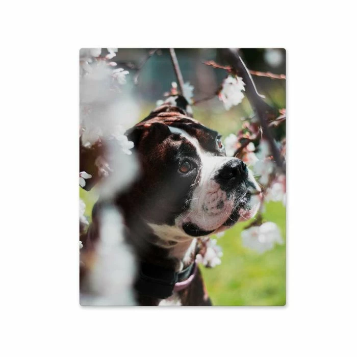 ChromaLuxe Sublimation Aluminum Photo Panel - 30" X 30" - Gloss White (10/case) 4 ChromaLuxe Sublimation Aluminum Photo Panel - 30" X 30" - Gloss White (10/case) - Image 2