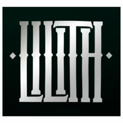 Siser EasyReflective Heat Transfer Vinyl 7 Siser EasyReflective Heat Transfer Vinyl -Home Sales Store easyreflective lilith 1